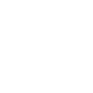 Talulah and The Duke Productions identity - Reversed